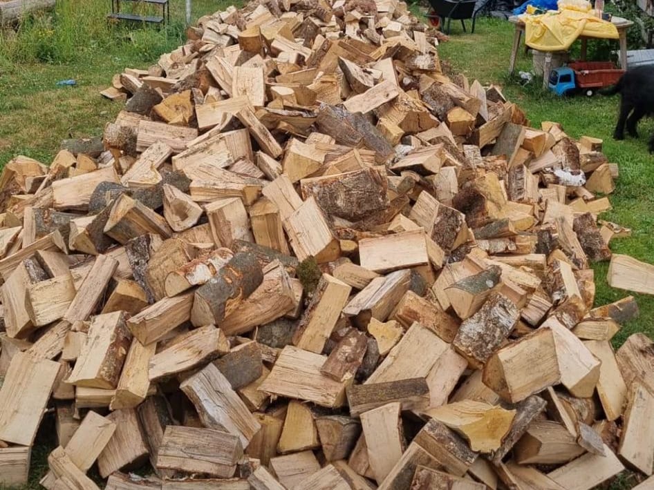 Frisches Holz zum Ablagern