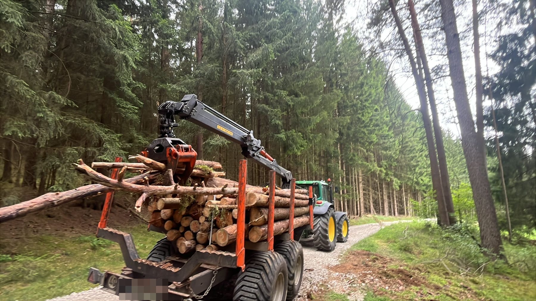 Stammholz wird im Wald an den Weg gerückt